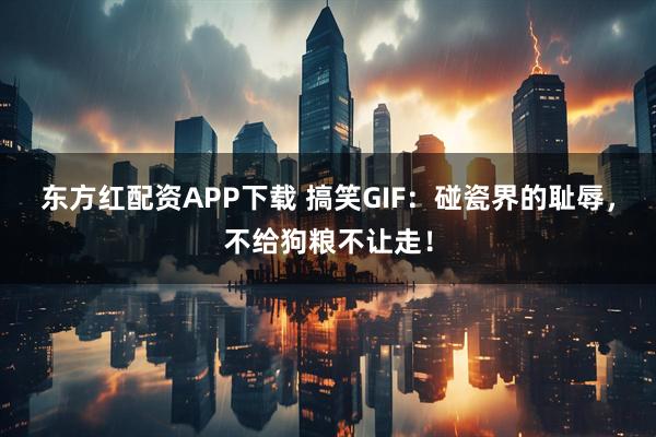 东方红配资APP下载 搞笑GIF：碰瓷界的耻辱，不给狗粮不让走！