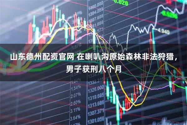 山东德州配资官网 在喇叭沟原始森林非法狩猎，男子获刑八个月